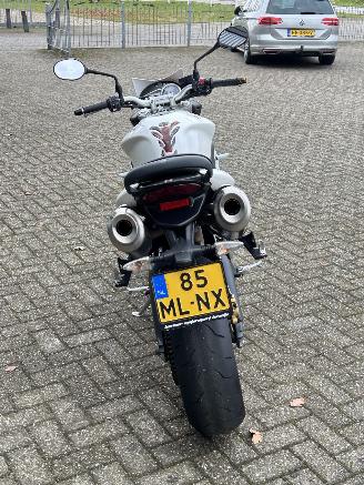 Triumph Street Triple 675 picture 4