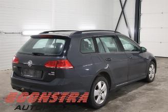Volkswagen Golf Golf VII Variant (AUVV), Combi, 2013 / 2021 1.4 TGI 16V picture 4