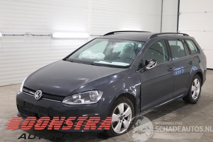 Volkswagen Golf Golf VII Variant (AUVV), Combi, 2013 / 2021 1.4 TGI 16V