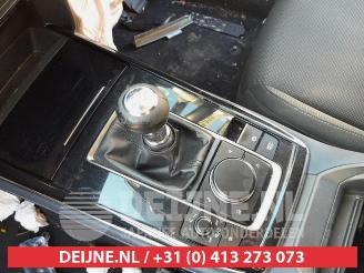 Mazda CX-30 CX-30 (DM), SUV, 2019 2.0 e-SkyActiv-G 122 16V picture 16