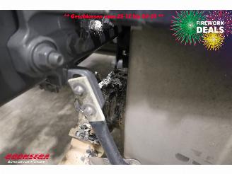 DAF XF 450 SC MirrorCam ACC Standklima picture 9