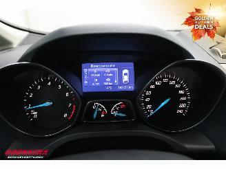 Ford Grand C-Max 1.0 Titanium 6-Pers. Navi Clima Cruise Camera PDC picture 16