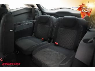Ford Grand C-Max 1.0 Titanium 6-Pers. Navi Clima Cruise Camera PDC picture 13