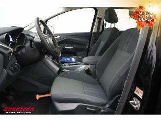 Ford Grand C-Max 1.0 Titanium 6-Pers. Navi Clima Cruise Camera PDC picture 11