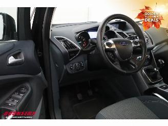 Ford Grand C-Max 1.0 Titanium 6-Pers. Navi Clima Cruise Camera PDC picture 14