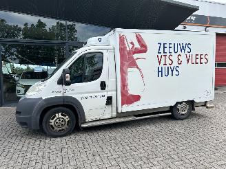 Fiat Ducato 2.3 multijet koel/vries wagen picture 2