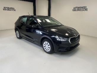 Auto incidentate Skoda Fabia  2024/3