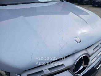Mercedes X 350 4-MATIC picture 39